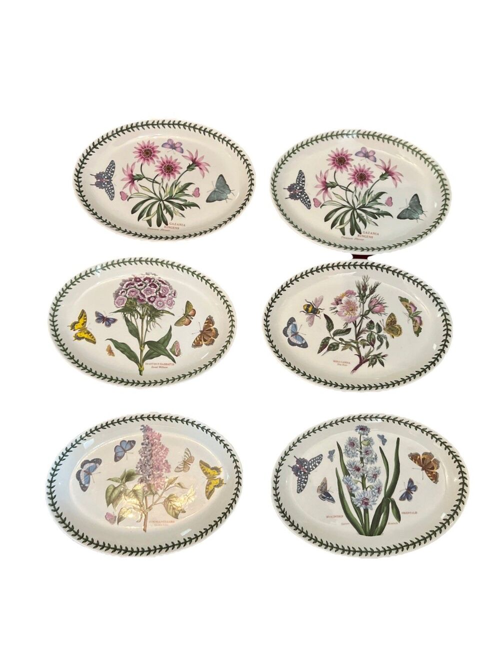 6 Portmeirion Botanic Garden Oval 10.25" Steak Plates Floral Dog Rose Treasure